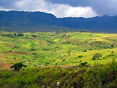 エチオピアの田舎は奇麗