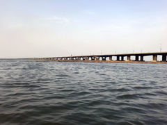 ラゴス市のThird Mainland Bridge：第３本土橋は、ラゴス島と本土を結ぶ3つの橋の中で最長、残り２本はエコ橋とカーター橋です。1996年にカイロにある10月6日橋が完成するまではアフリカ最長の橋だった。