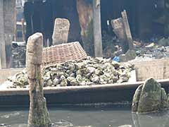 蠣！マココ：ナイジェリアのラゴス市の中心に有る水上街：マココ内