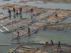 マココの若者は上流から流れてくる、伐採された木材をベースにして遊ぶ、泳ぐ、漁をするのを好む。