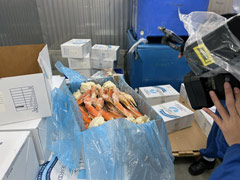 グリーンランド