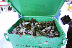 グリーンランド