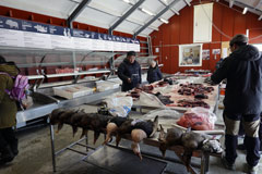 グリーンランド