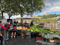 リヨン市：ソーヌ川沿いの朝市から：奥にノートルダム大聖堂が見えます。